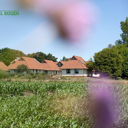 Jugendtours-Feriendorf Ummanz Dış mekan fotoğraf