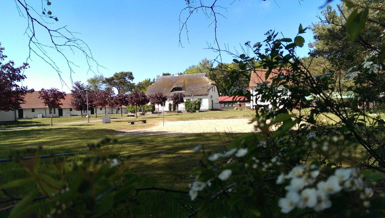 Jugendtours-Feriendorf Ummanz Dış mekan fotoğraf