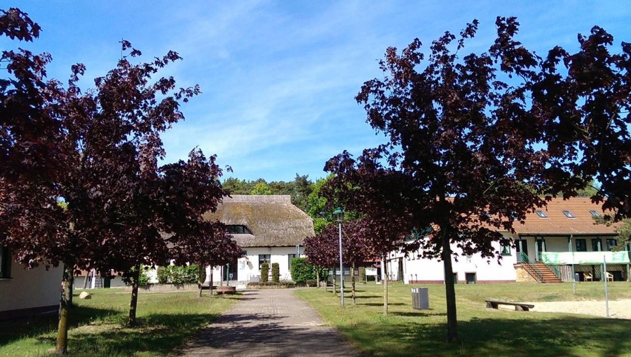 Jugendtours-Feriendorf Ummanz Dış mekan fotoğraf
