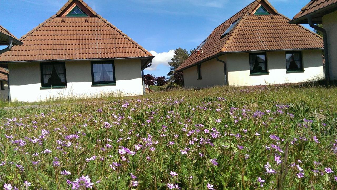 Jugendtours-Feriendorf Ummanz Dış mekan fotoğraf