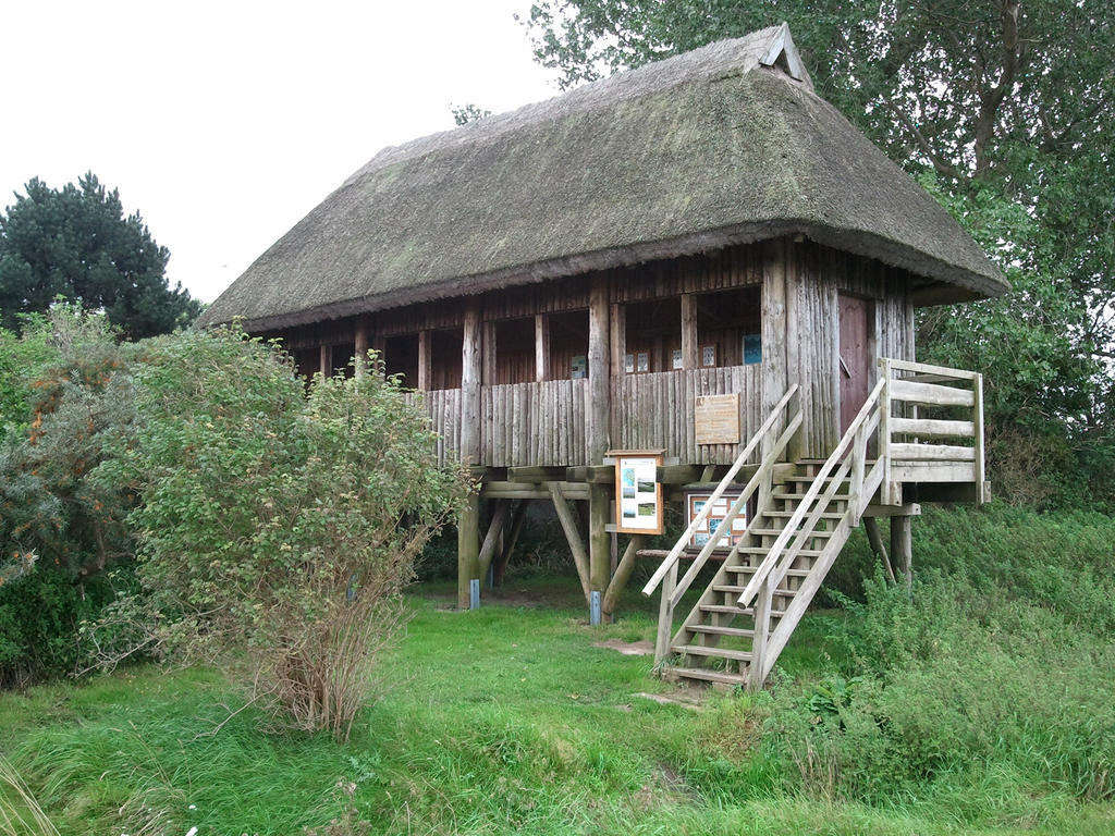 Jugendtours-Feriendorf Ummanz Dış mekan fotoğraf