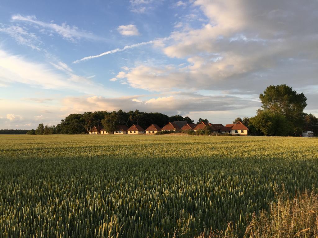Jugendtours-Feriendorf Ummanz Dış mekan fotoğraf